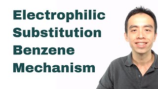 Electrophilic Substitution Benzene Mechanism  Organic Chem [upl. by Darrin]