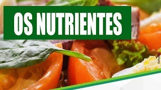 Nutrientes o que são tipos funções e exemplos [upl. by Neall]