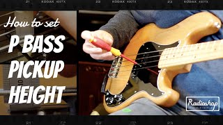 How to set P Bass Pickup Height [upl. by Anma]