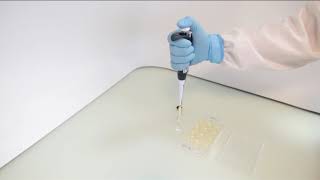 Readytouse agar dilution panels Test Procedure [upl. by Solakcin]