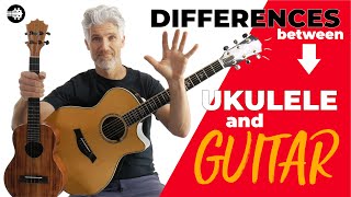 Guitar VS Ukulele 5 Differences you NEED to know 🤔🎸 [upl. by Enecnarf]