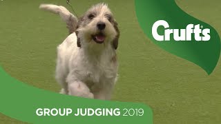 Hound Group Judging And Presentation  Crufts 2019 [upl. by Eniar]