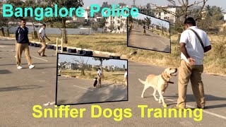 Sniffer Dogs Training Bangalore Police  Labrador Doberman German Shepherd [upl. by Poyssick]