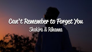 Shakira  Cant Remember to Forget You Lyrics ft Rihanna [upl. by Girand112]