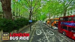 LONDON Bus Ride 🇬🇧  Route 36  Full bus journey from South London to North London 🧭 [upl. by Iatnohs478]