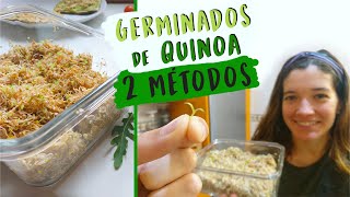 Cómo hacer Germinados de QUINOA [upl. by Etnor179]