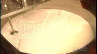 How Its Made Yogurt [upl. by Huntley]