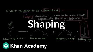 Operant conditioning Shaping  Behavior  MCAT  Khan Academy [upl. by Yramanna]