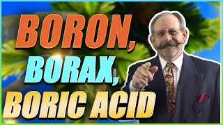 Boron and its derivatives Boric Acid amp Borax [upl. by Graehme656]