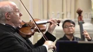 Antonio Vivaldi – Violin Concerto in gminor RV 317 [upl. by Veradi]