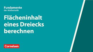 Flächeninhalt eines Dreiecks berechnen  Fundamente der Mathematik  Erklärvideo [upl. by Ailaza673]