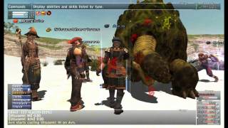 Adamantoise FFXI [upl. by Jilli]