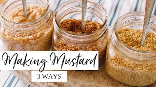 🌭 How to Make Homemade Mustard 🌭  EASY With Three Different Recipes [upl. by Joella844]