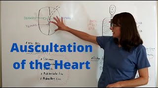 Auscultation of the Heart [upl. by Materi]