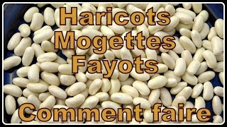 Haricot blanc mogette flageolet  Comment faire N°30 [upl. by Ewall198]