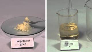 Qualitative Analysis of Oil and Fats  MeitY OLabs [upl. by Trilley]