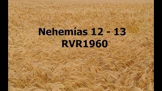 La Biblia hablada Nehemias 12  13 [upl. by Shulock]