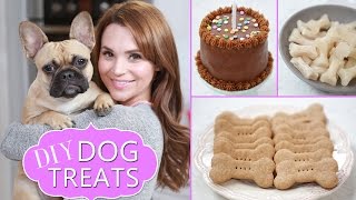 DIY DOG TREATS [upl. by Essinger]