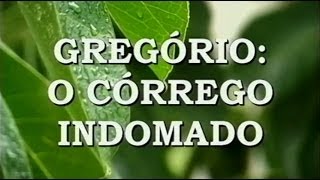 Gregório O Córrego Indomado [upl. by Dietrich]