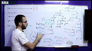 فيزيولوجيا الجهاز العصبي الذاتي 1  Physiology of Autonomic Nervous System [upl. by Hairem197]