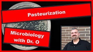 Pasteurization Microbiology [upl. by Nyrek]