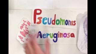 Quorum Sensing in Pseudomonas Aeruginosa [upl. by Annoel]