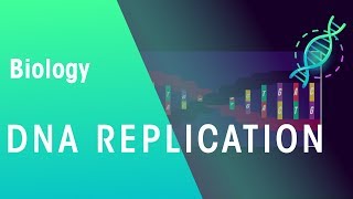 DNA Replication  Genetics  Biology  FuseSchool [upl. by Hermia]