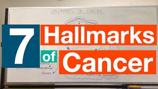 Hallmarks of Cancer  Pathophysiology [upl. by Andreas111]