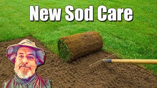 New Sod Lawn Care [upl. by Ramah554]