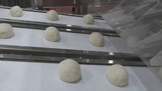 Advanced Dough Divider and Rounder [upl. by Elcin]