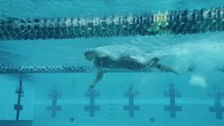 Caeleb Dressel Freestyle technic Slowly motion  The Speedo Sub20 Challenge [upl. by Daly]