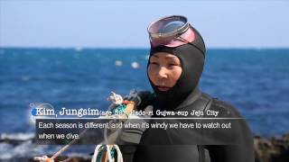 Culture of Jeju Haenyeo women divers [upl. by Assirroc900]