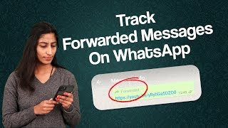 How Many Times Your Message Forwarded On WhatsApp Messenger  Whatsapp Forwarded Message Trick [upl. by Reinal184]