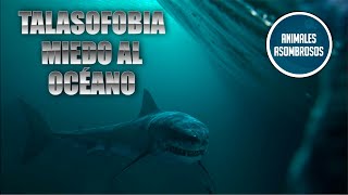 ¿Tienes miedo al océano test de talasofobia [upl. by Derfiniw]