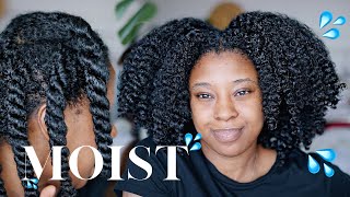 Moisturise DRY Natural Hair In 4 Easy Steps 🔢 Detailed wProduct Recommendations [upl. by Vidal]