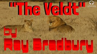 quotThe Veldtquot by RAY BRADBURY • Classic Radio Play • PAUL FREES Narrates [upl. by Kline]