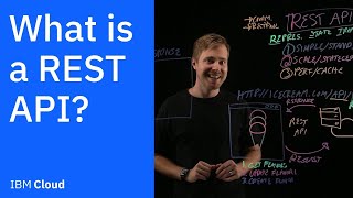 What is a REST API [upl. by Lielos]