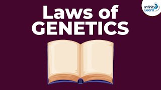 Laws of Genetics  Lesson 5  Dont Memorise [upl. by Bartko]