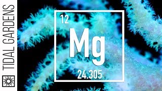 Reef Chemistry Magnesium Level Testing [upl. by Soloma]