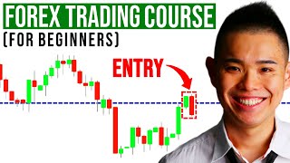 The Ultimate Forex Trading Course For Beginners [upl. by Aiker]