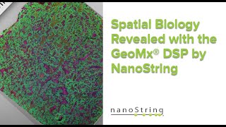 Spatial Biology Revealed with the GeoMx DSP by NanoString [upl. by Euqinomad365]