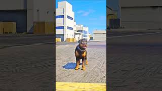 Devil found the true meaning of love in a dogs loyalty  gta5 shorts trending viralshorts [upl. by Goldina257]