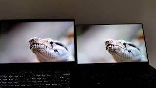 Purism Librem 14 left vs Dell XPS 13 9370 right  IPS LCD panel comparison [upl. by Colson991]