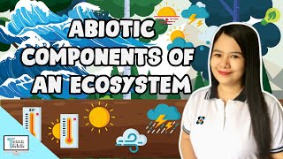 Abiotic Components of an Ecosystem  Biology [upl. by Leay]