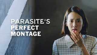 Parasites Perfect Montage [upl. by Ocko792]