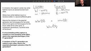 Solving epistasis problems [upl. by Ataynek203]