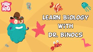 Learn Biology With Dr Binocs  Compilation  Learn Videos For Kids [upl. by Inalaeham]