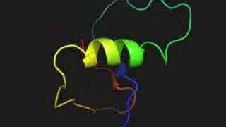 Protein folding simulation from denatured to native state [upl. by Teplitz]