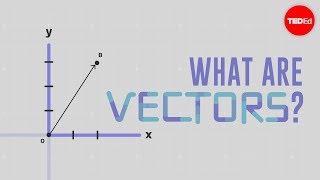 What is a vector  David Huynh [upl. by Ahseiyk526]