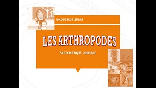 Arthropodes [upl. by Ahsitul]